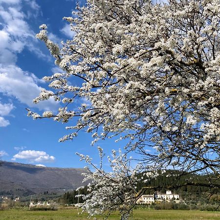 Accanto A Firenze Prato  Zewnętrze zdjęcie
