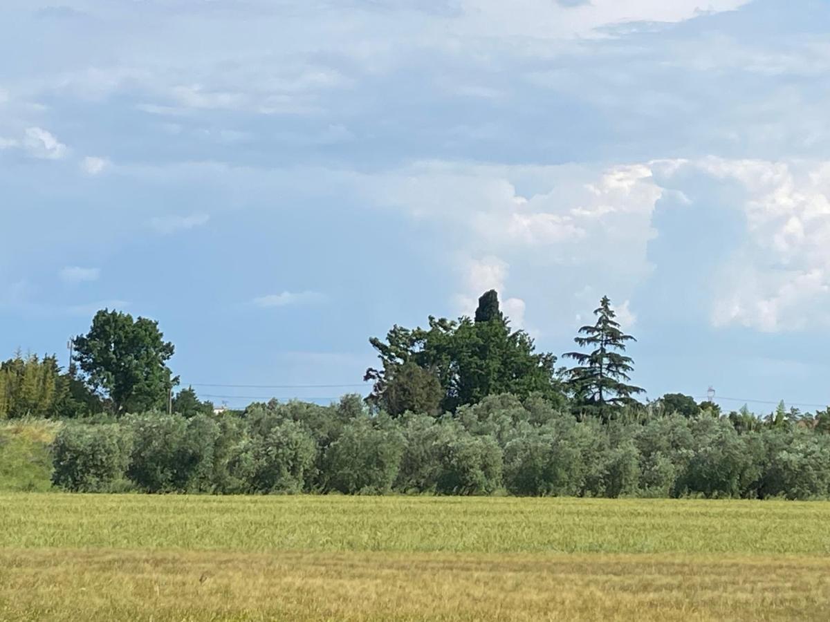 Accanto A Firenze Prato  Zewnętrze zdjęcie