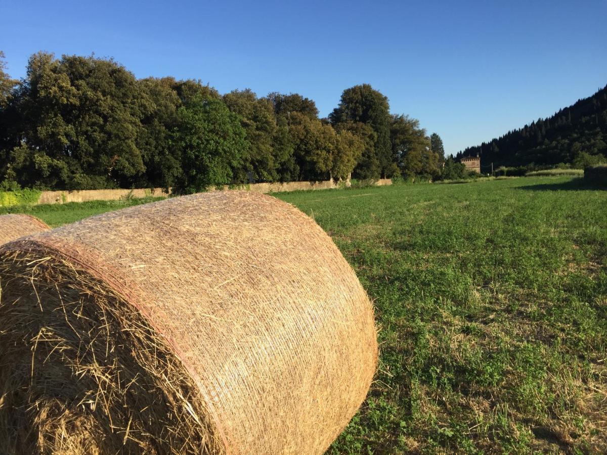 Accanto A Firenze Prato  Zewnętrze zdjęcie