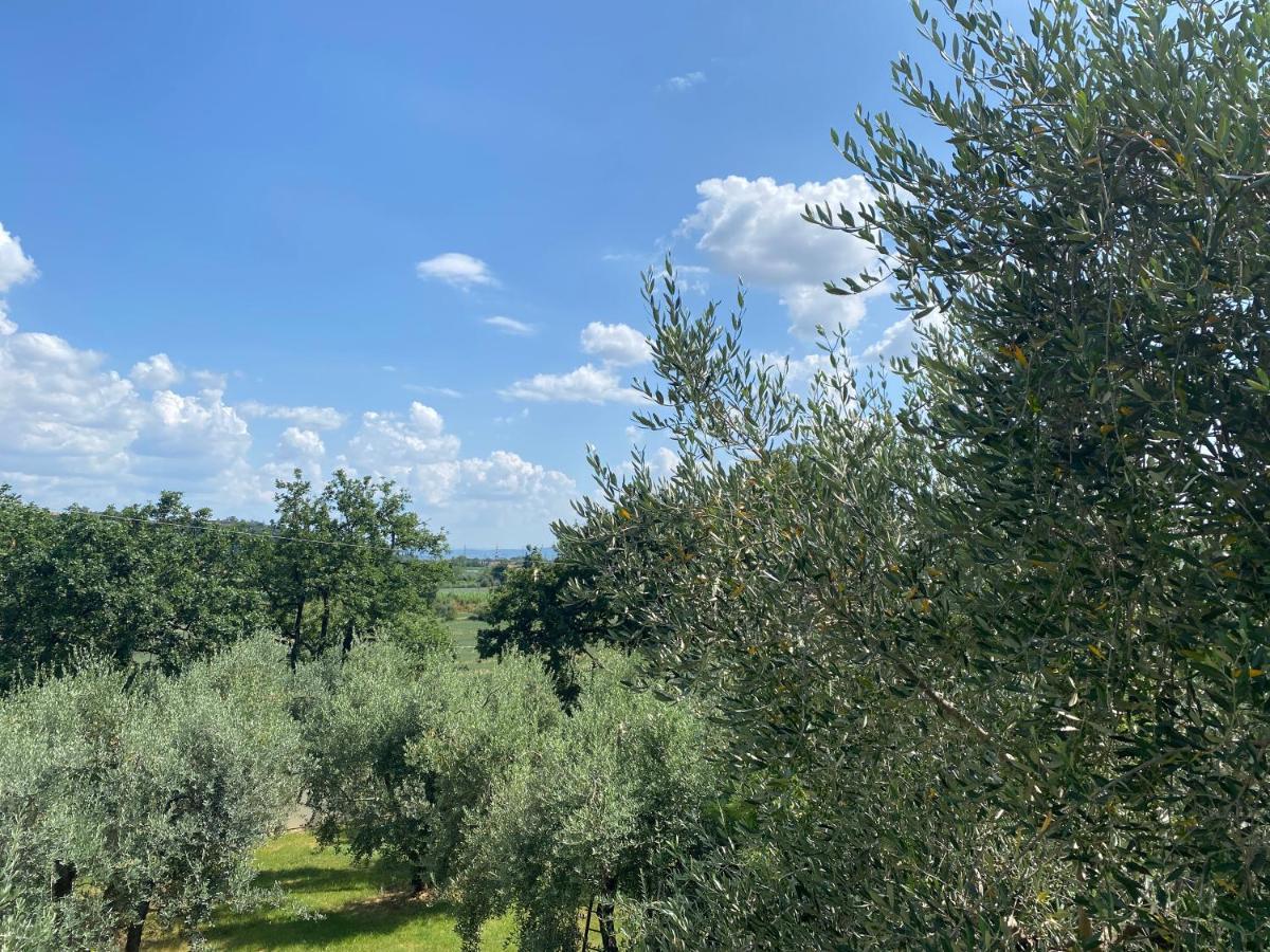 Accanto A Firenze Prato  Zewnętrze zdjęcie