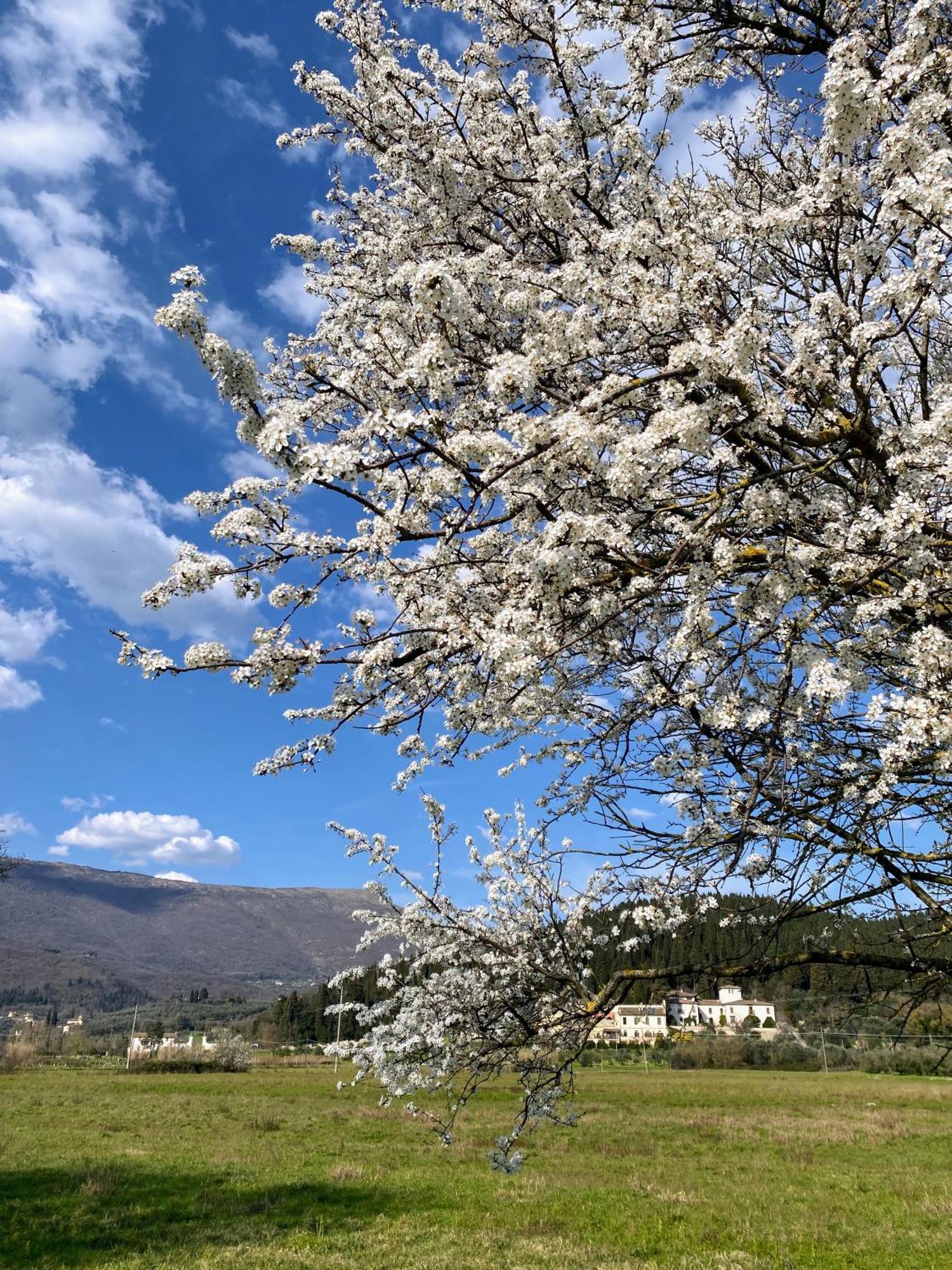 Accanto A Firenze Prato  Zewnętrze zdjęcie